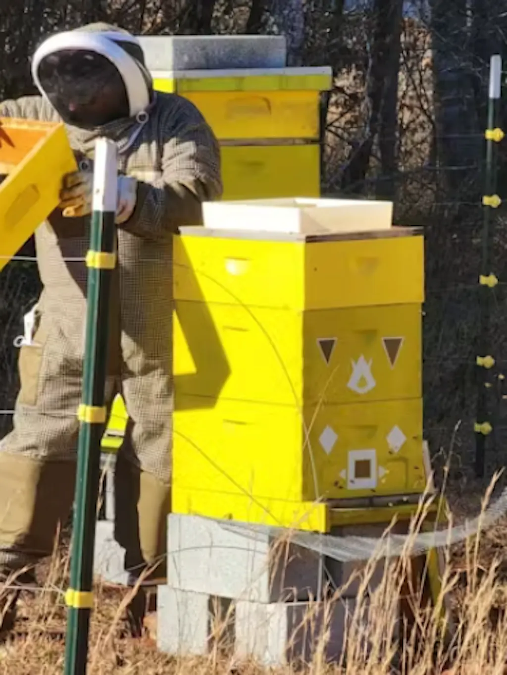 Professional Triple Layer Ventilated Full Beekeeping Suit