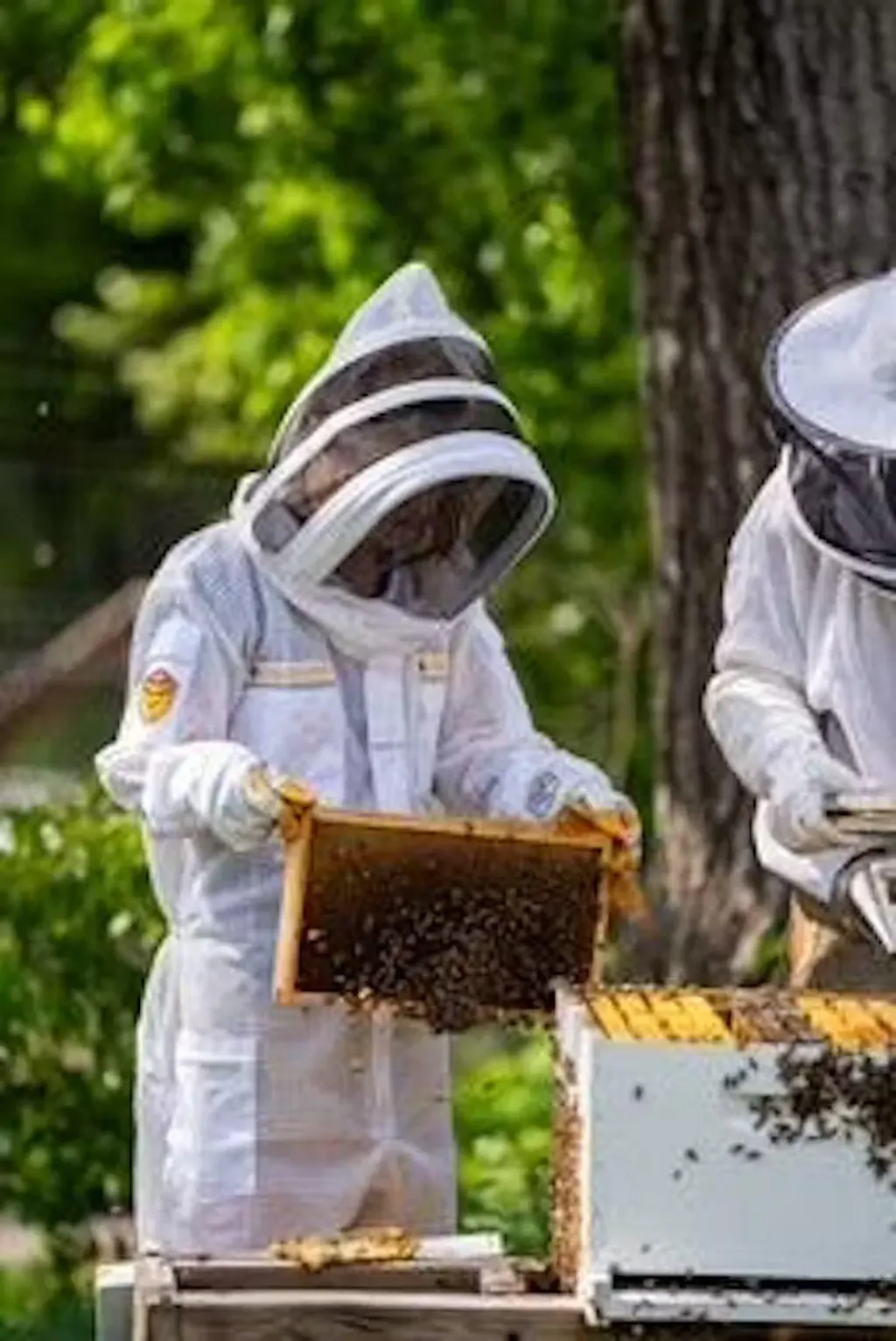 Sting Stopper™ Beekeeping Suit — Olive Green or Beekeeper White