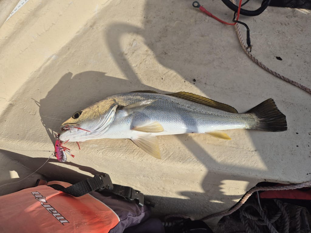 StinkyBaits Triple X VB Lure