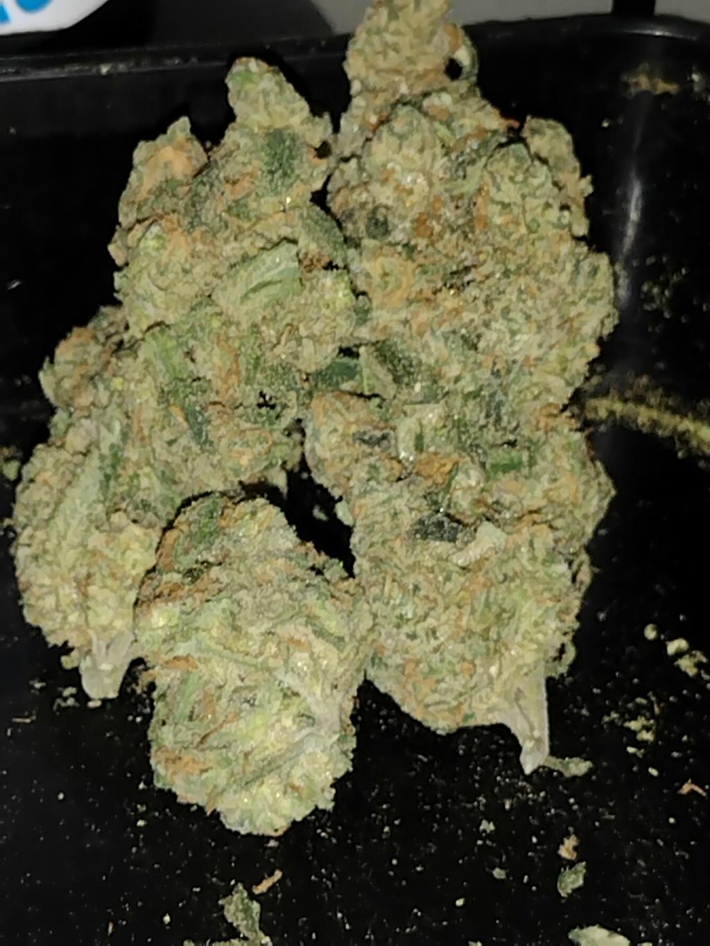 Blue Dream Exotic THCA Flower 27.30%