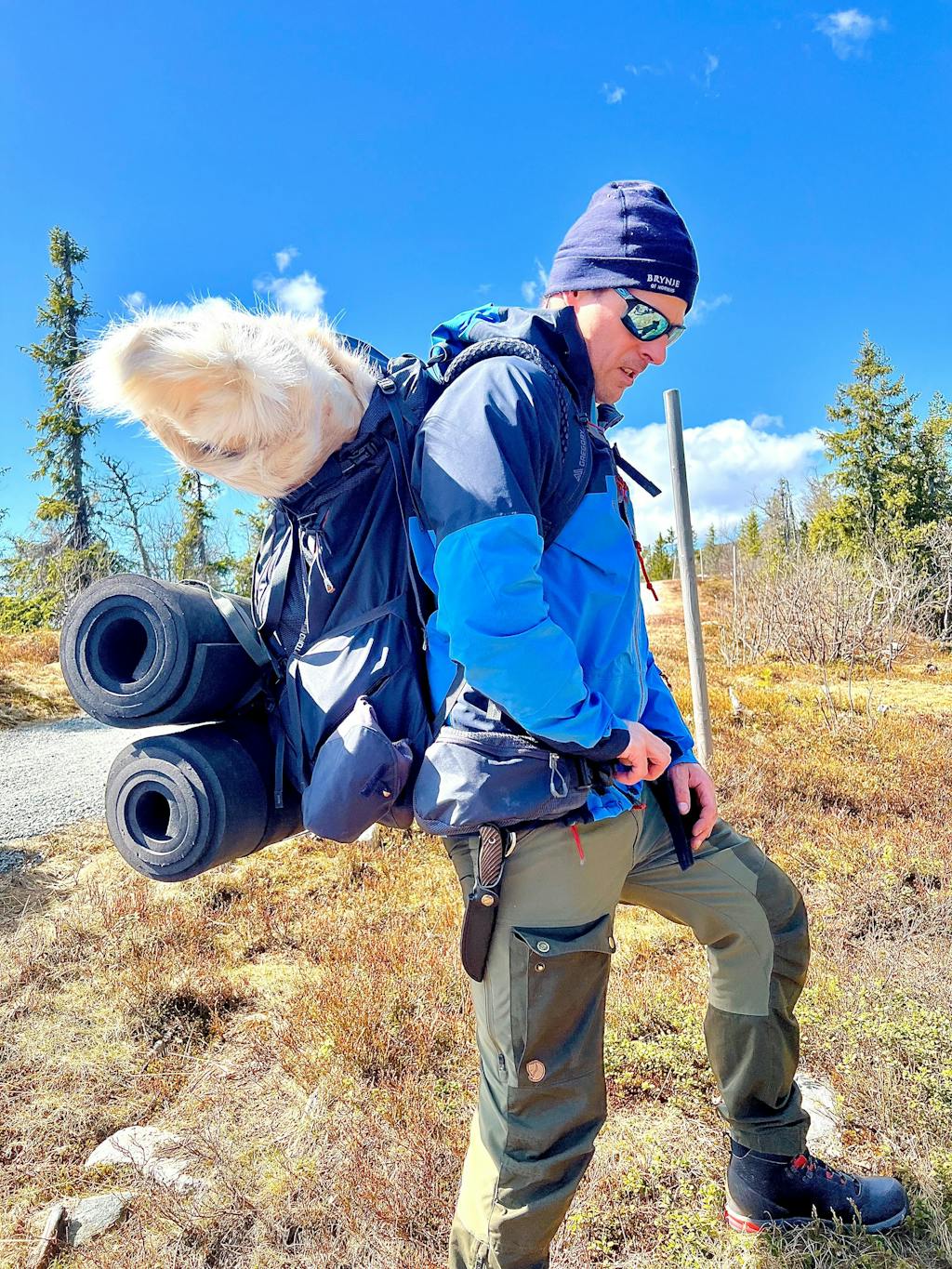 Casström No.3 Dangler