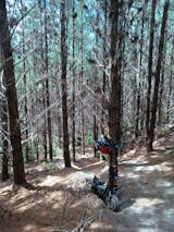 11" x 4" CST Tyre - Off-Road & Street