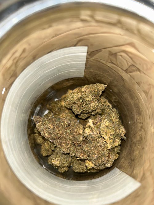 PACK 20G - BUBBLE GUM CBD+