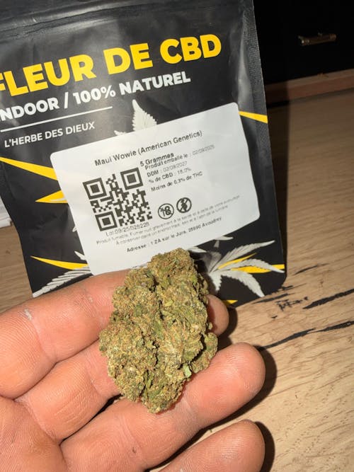 Maui Wowie ( American Genetics)