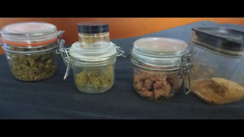 PACK 20G - CRITICAL HAZE