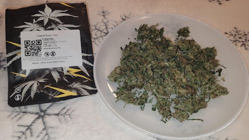 Tropical Runtz - Trim