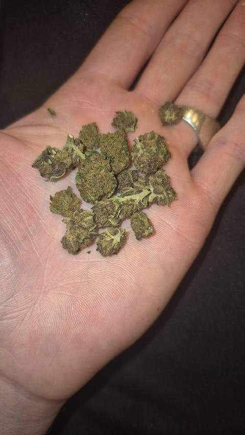 POP CORN LEMON TONIC CBD+