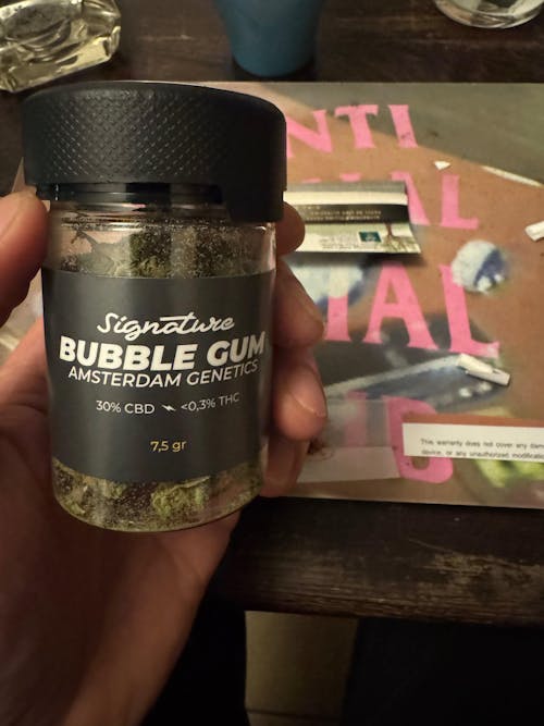 BUBBLE GUM ( AMSTERDAM GENETICS)