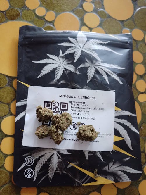 RS11 ( American Genetics)