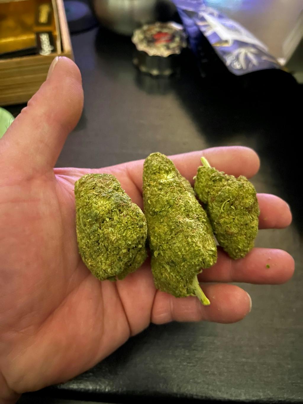 RS11 ( American Genetics)