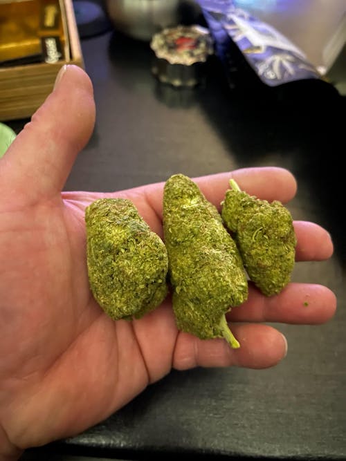 RS11 ( American Genetics)