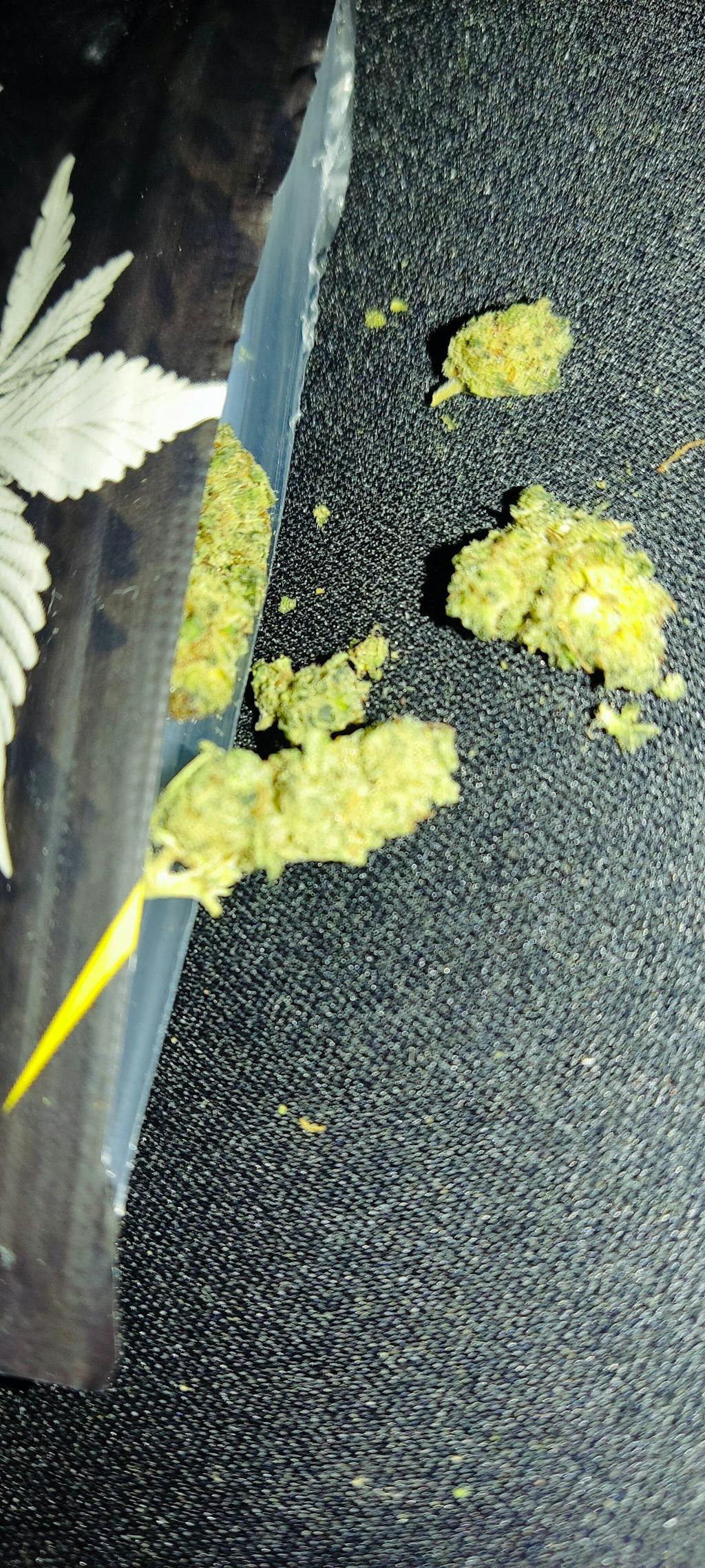 POP CORN LEMON TONIC CBD+