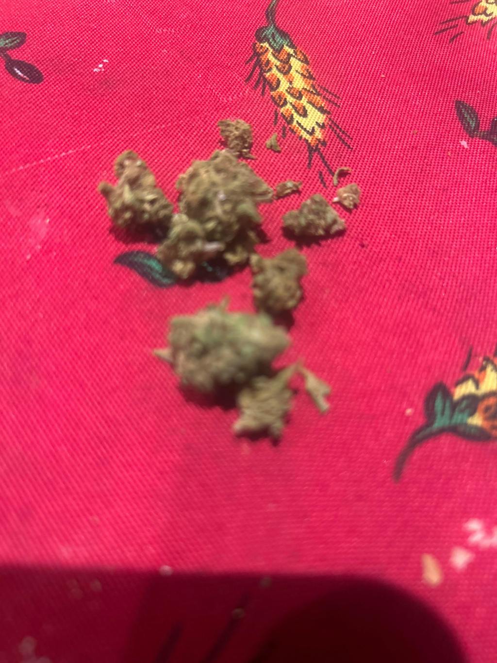 POP CORN LEMON TONIC CBD+