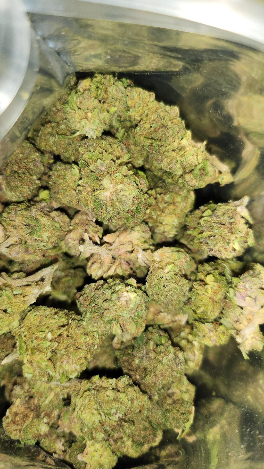 SMALL BUD JACK HERER