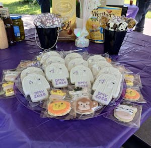 Doctor/Lab Coat Cookies (1 dozen)
