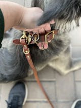Strange Tails, Handmade Leather Dog Leash