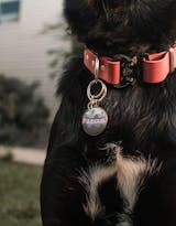 Strange Tails, Waterproof Biothane Dog Leash