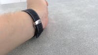 Butterfly Deployment Clasp