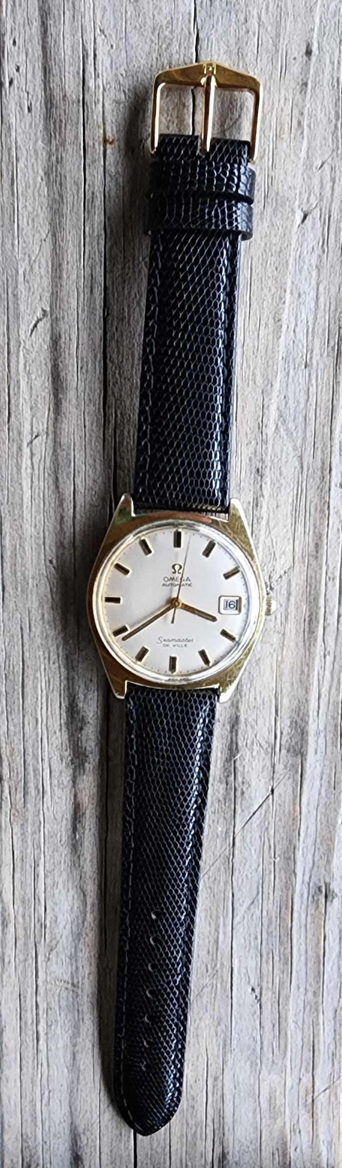 Genuine Lizard | Padded