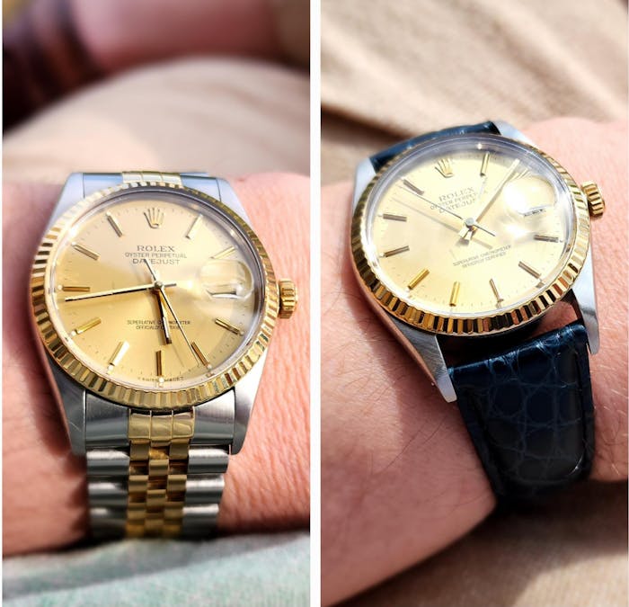 Regent | Alligator Flank