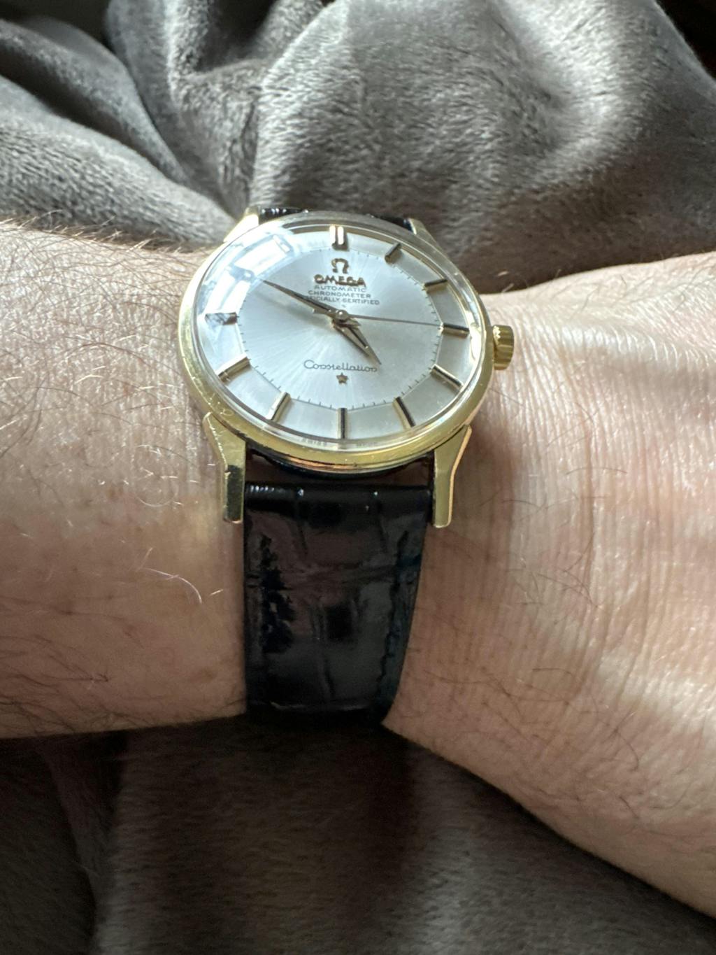 Genuine Louisiana Alligator | Polished