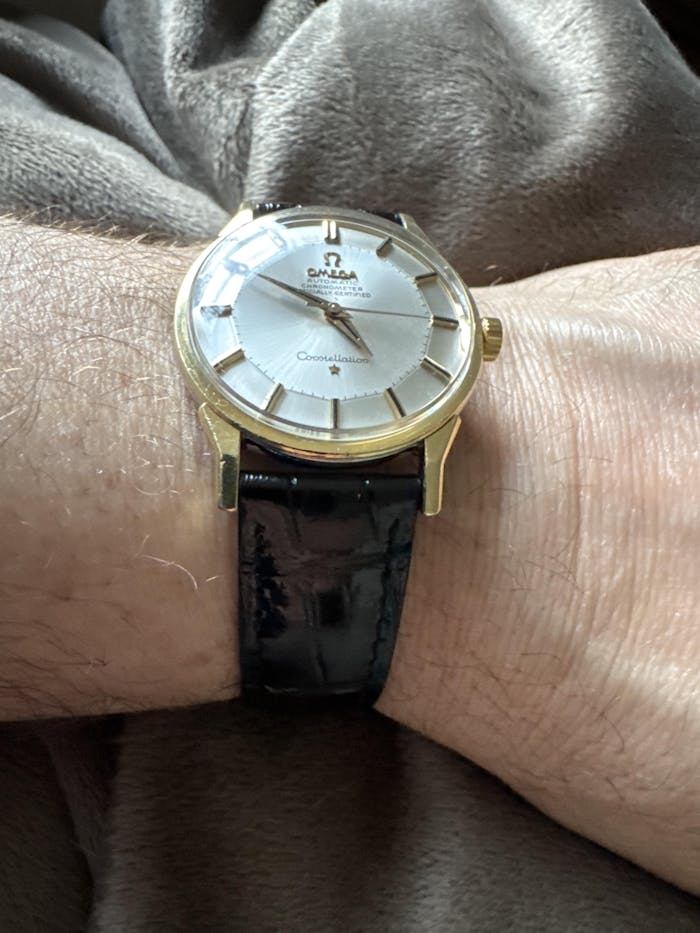 Genuine Louisiana Alligator | Polished