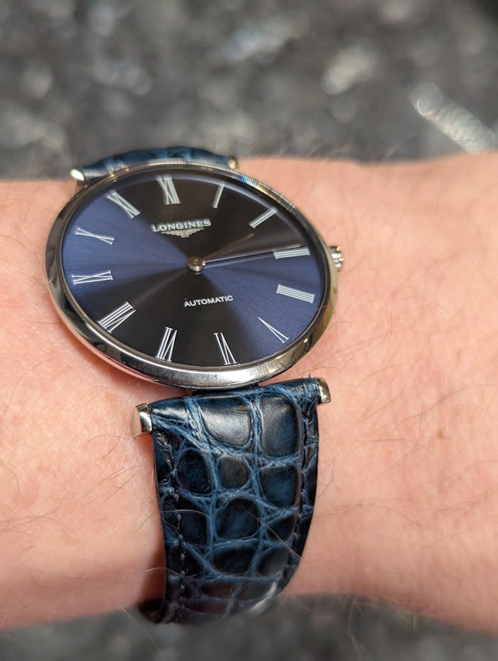 Regent | Alligator Flank