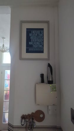 Not Everybody was Kung Fu Fighting print