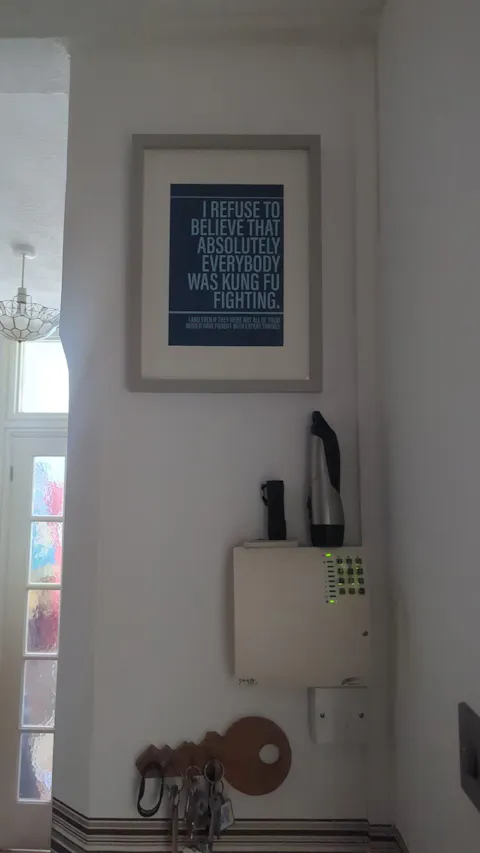 Not Everybody was Kung Fu Fighting print