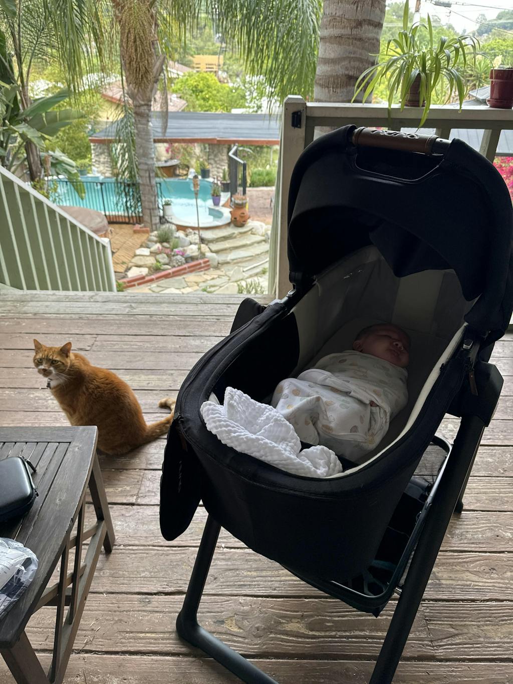 Nuna LYTL & Stand Compatible With TRIV Strollers