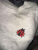 Onze unieke Trui (Mist met eigen keus borduursel)