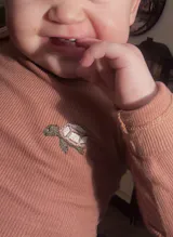 Romp&Roll meegroeiromper (Terra met schildpad)