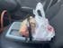 Stupid Car Tray