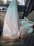 Stupid Car Tray