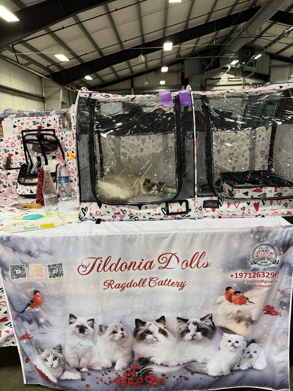 LE Pop-Up Kennel - Show Shelter (Medium), Double