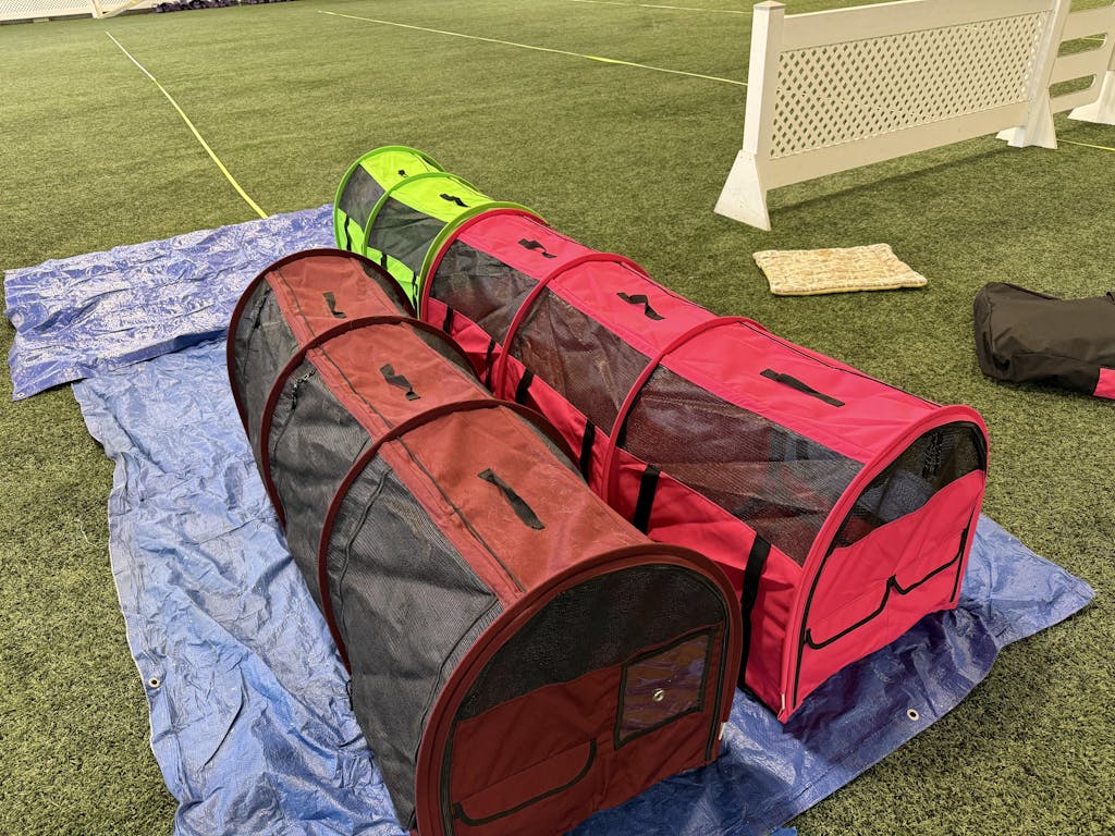 Pop-Up Kennel - Show Shelter (Medium) / Single, Double