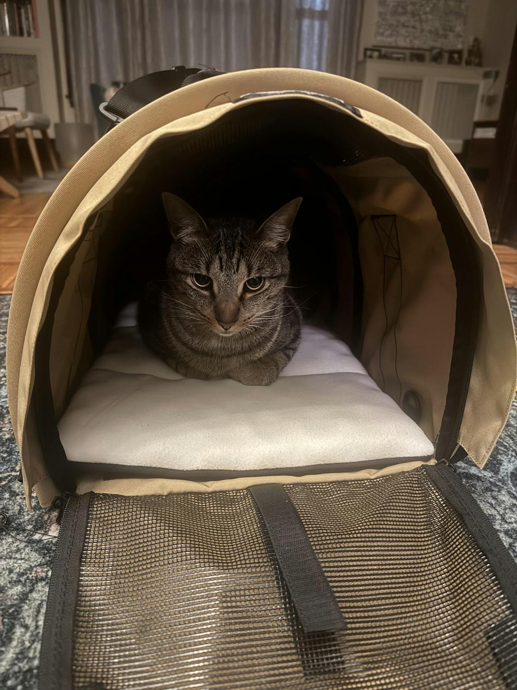 SturdiBag™ Pro 3.0