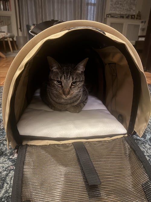 SturdiBag™ Pro 3.0