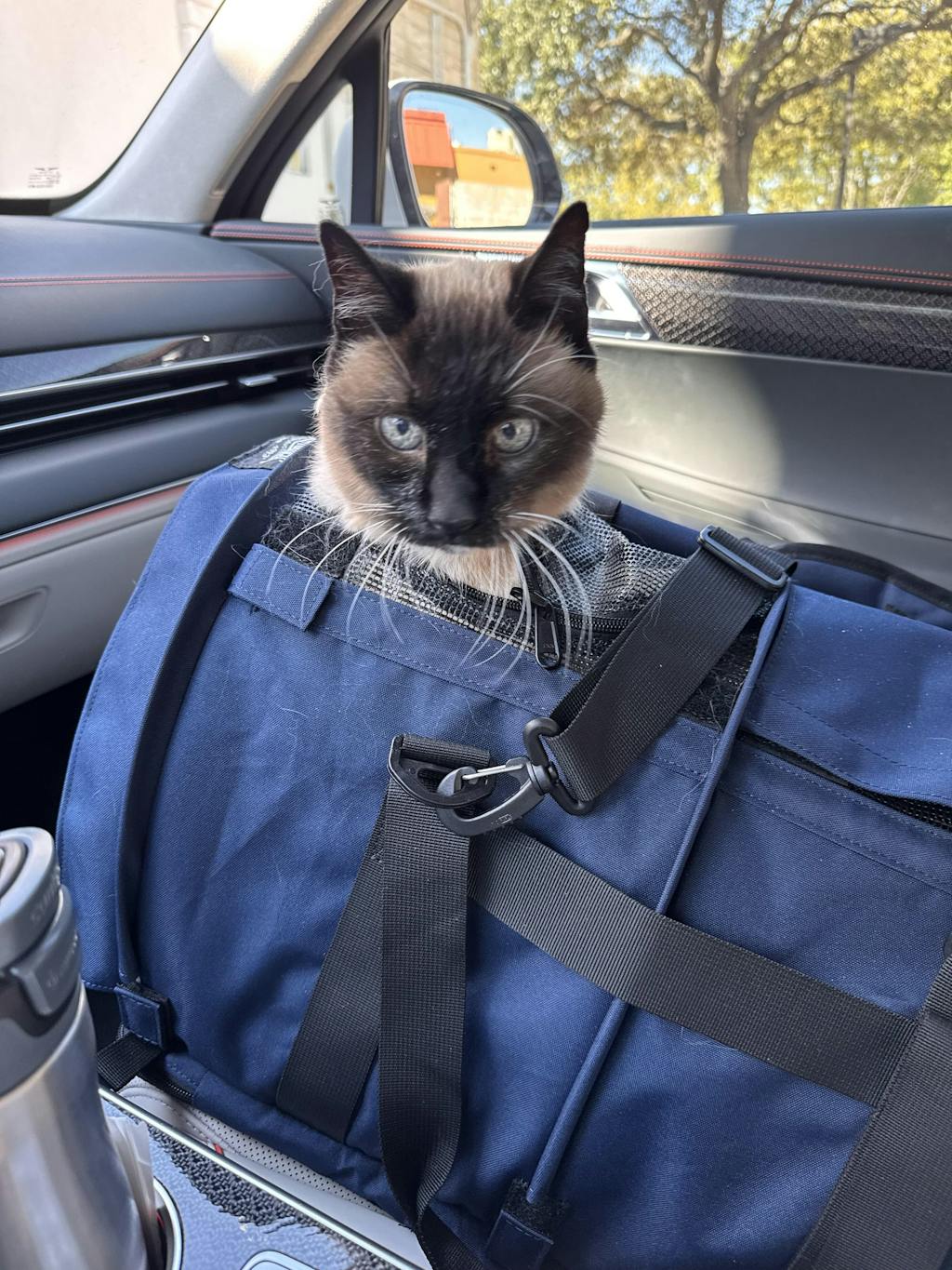 SturdiBag™ Pro 3.0