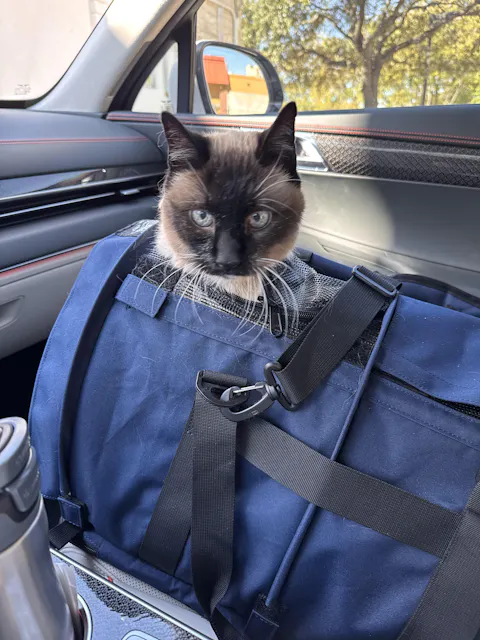 SturdiBag™ Pro 2.0 | Soft-Sided Airline-Approved Travel Pet