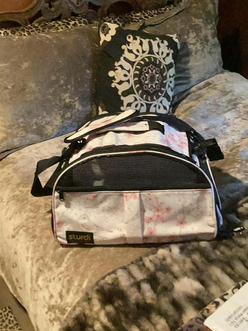 NEW Totes'ter Pet Carrier