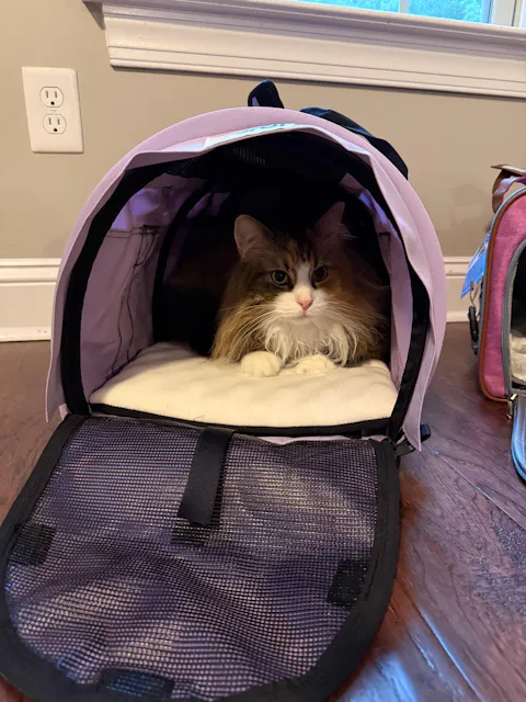 SturdiBag™ Pro 2.0 | Soft-Sided Airline-Approved Travel Pet