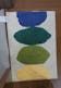 Nature Absorbent Floor Mat