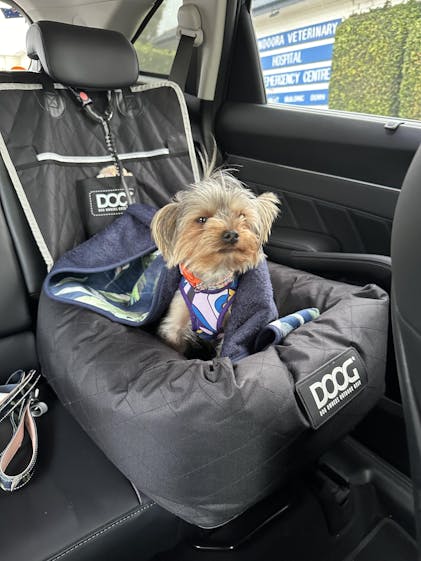 Crate Blanket