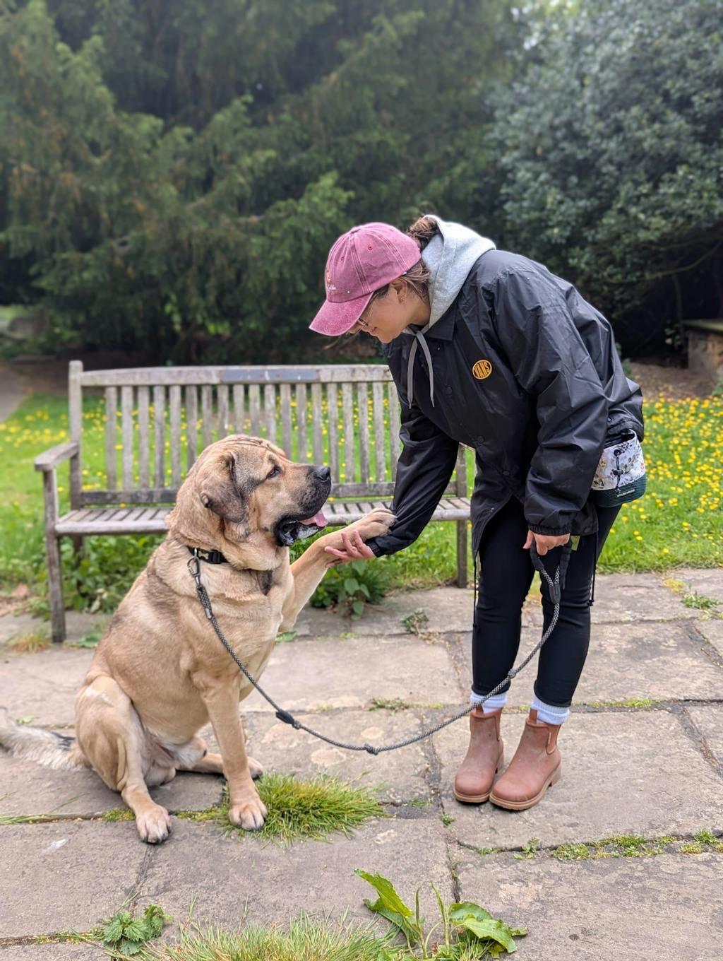 Evergreen Train n' Treat Pouch