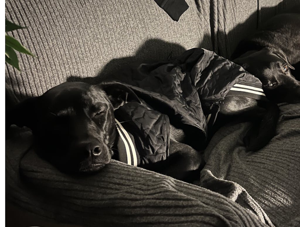 Black Grand Slam Bomber Jacket