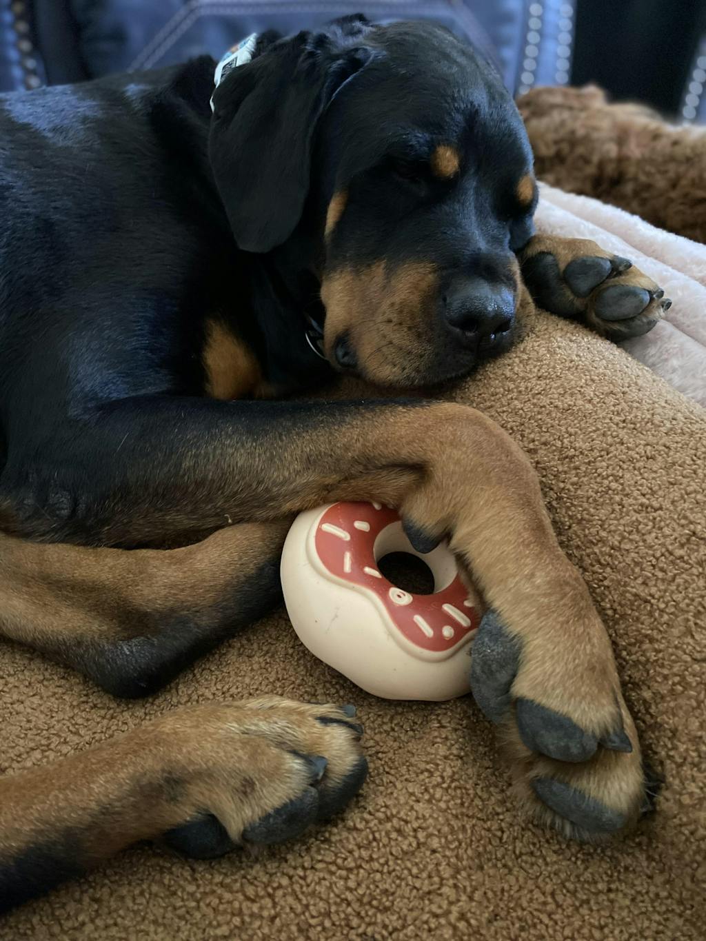 Chocolate Donut Squeaker Power Chew