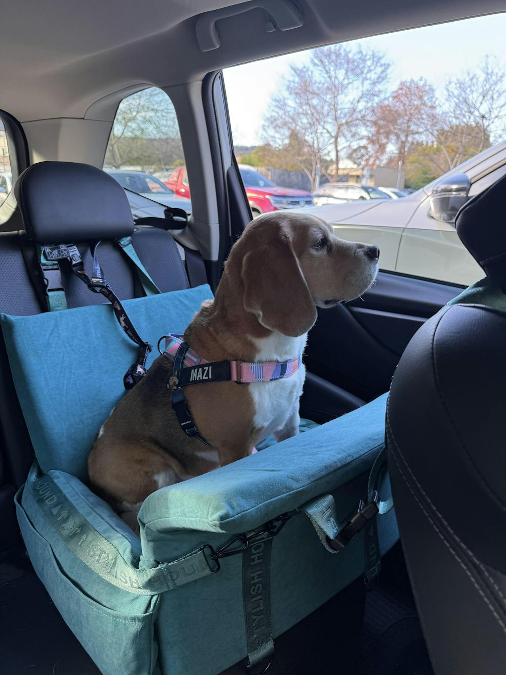 Car Seat and Travel Home Teal + Isofix Safety Belt