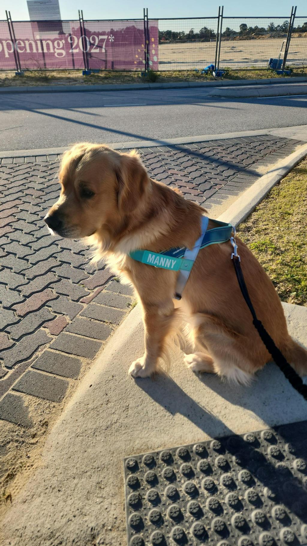 Sea Bay Personalised No-Pull Harness