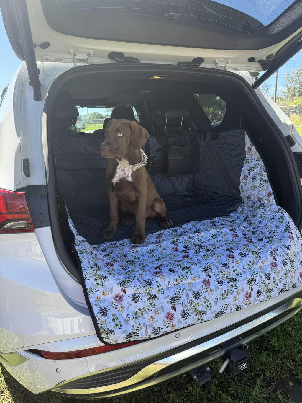 Evergreen Car Boot Cover with Drawstring Bag